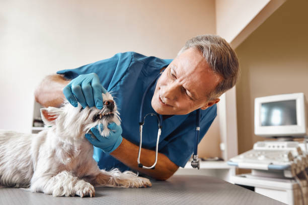 Best Emergency Tooth Extraction in Anadarko, OK